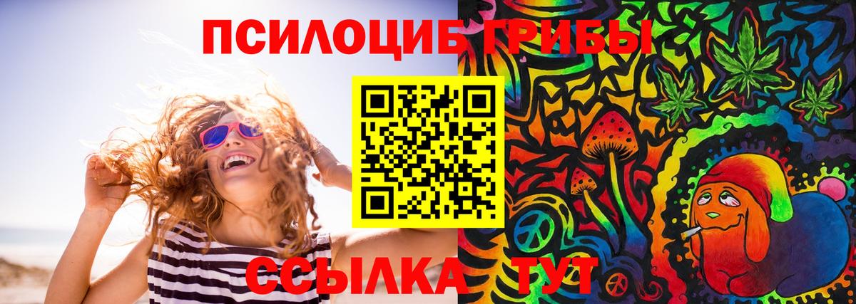 Губаха  Галлюциногенные грибы MAGIC MUSHROOMS  Вход с VPN 